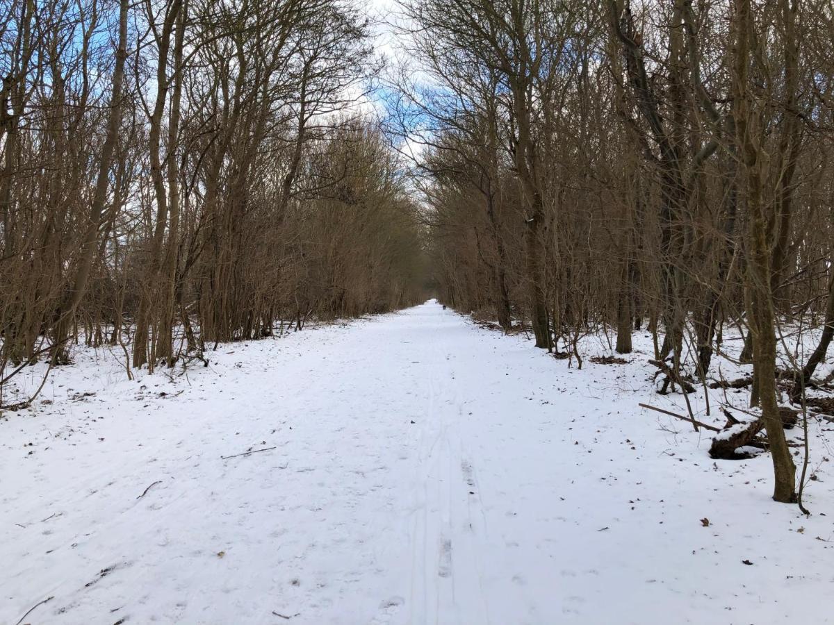 Ferienwohnungostseeblick Börgerende-Rethwisch Екстериор снимка