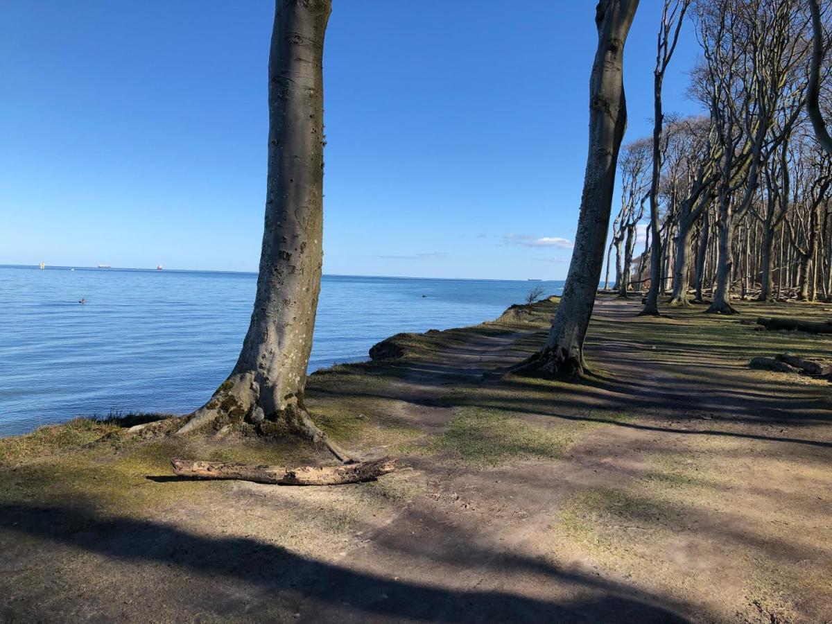 Ferienwohnungostseeblick Börgerende-Rethwisch Екстериор снимка