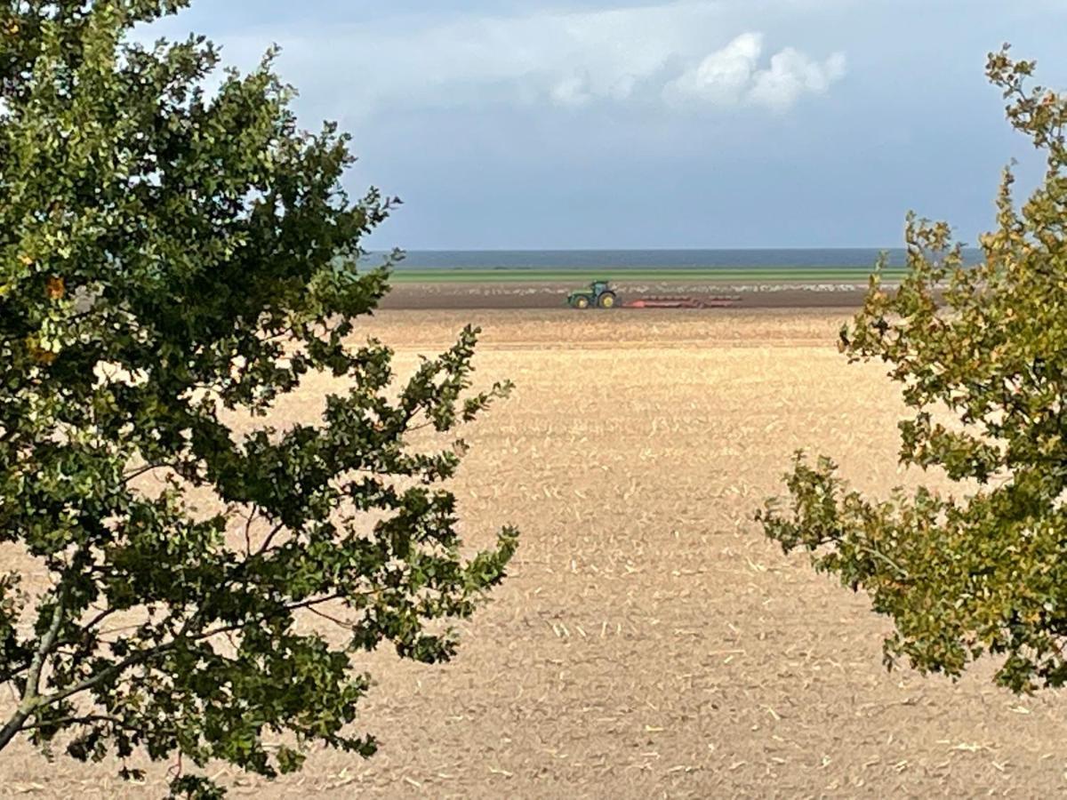 Ferienwohnungostseeblick Börgerende-Rethwisch Екстериор снимка